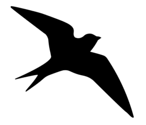 Ideea Studio Favicon